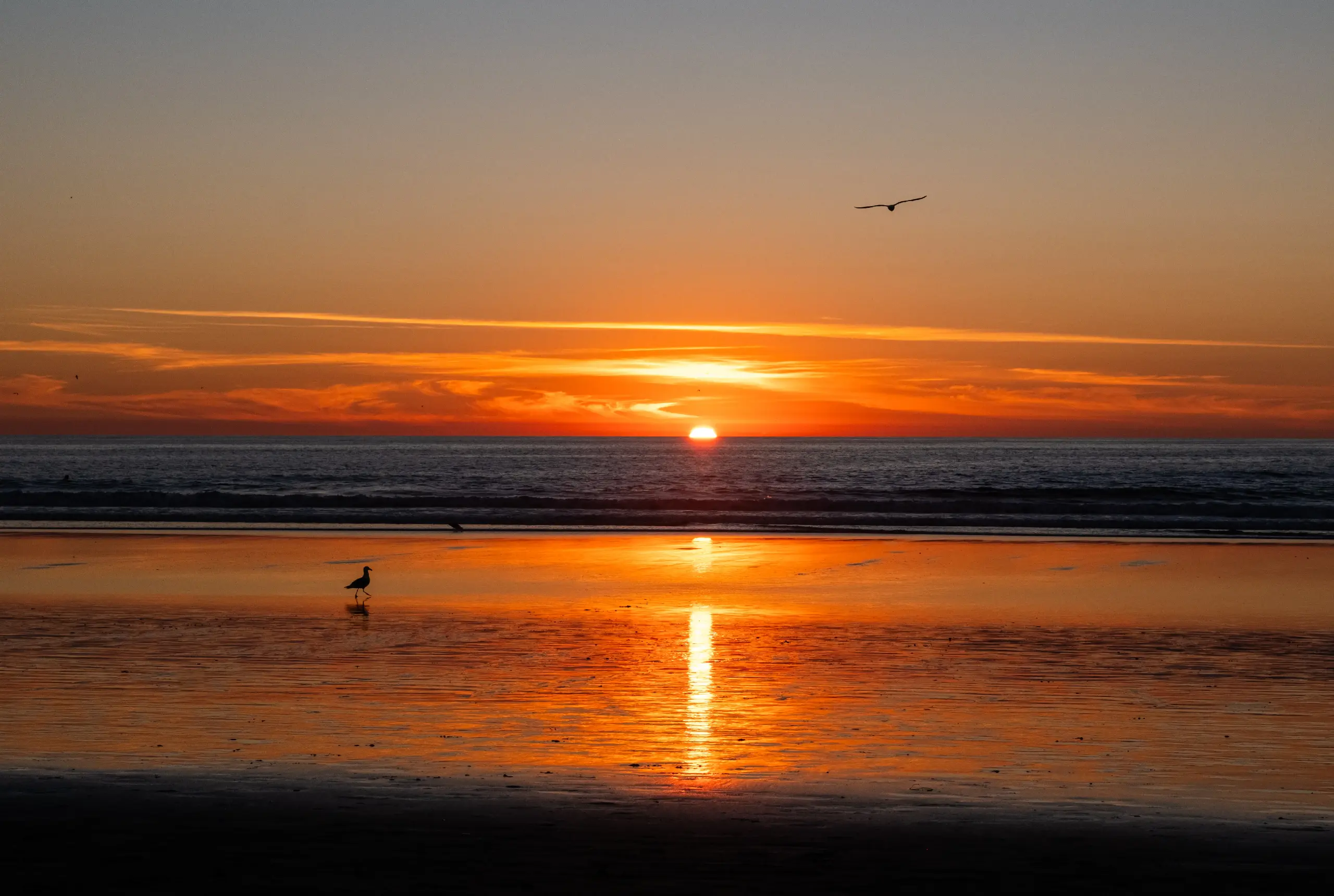 Pacific Beach Sunset | California