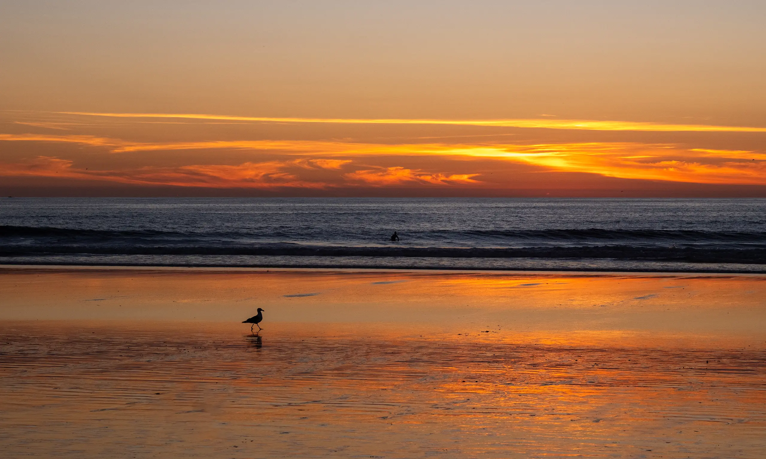 Pacific Beach Sunset | California